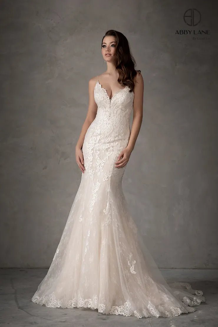 Abby's online wedding dress